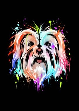 Havanese Dog Multicolor