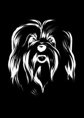 Havanese Dog Vintage