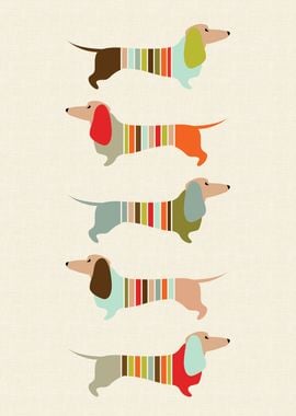 Sausage Dogs Mid Century