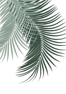 Palm Leaves Green 1