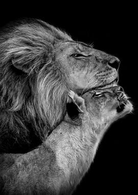 Lions Love painting poster