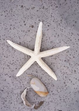 Sand Stars