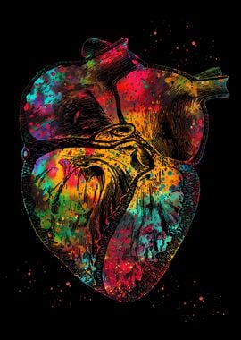 Heart section