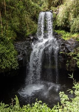 waterfall bamboo forest