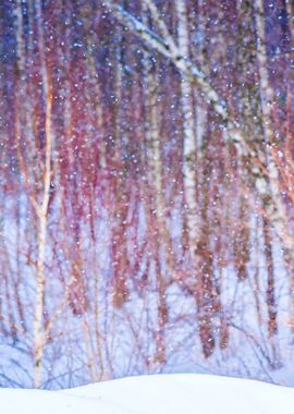 Forest Snowfall Left