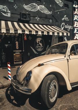 automobile beetle