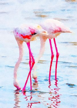 Flamingo Pink