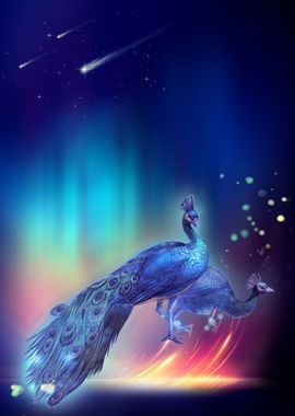 Peacock Bird on Starry Sky