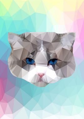 Cat Face animal in polygon