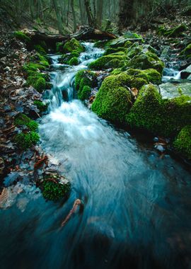 Waterfall Forest by Nature