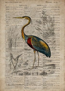 A heron on old paper