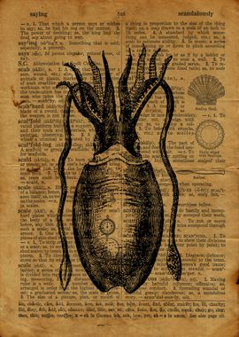 Squid engraving