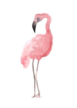 Pink Flamingo Art Poster