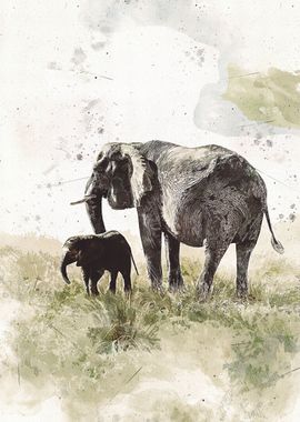 Elephant