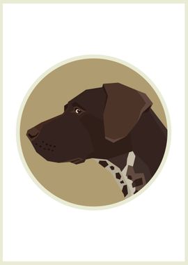 German shorthaired