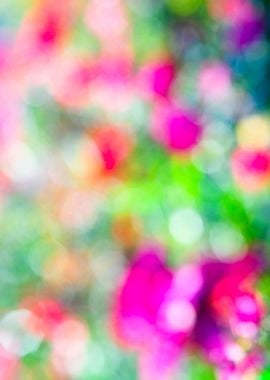 Colorful Floral Abstract