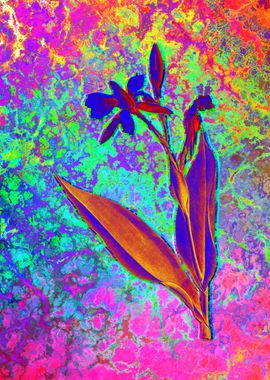 Neon Botanical Drawing