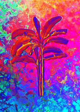 Neon Botanical Drawing