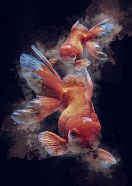 Koki Fish