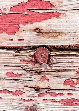 Grunge Wooden Planks Decor