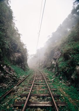 railway fog