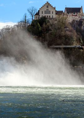 The Rhine Falls