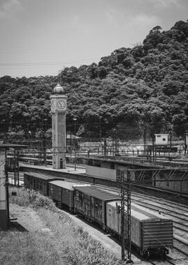 black white rail train