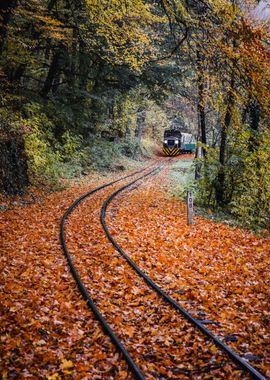 surrounded train rail