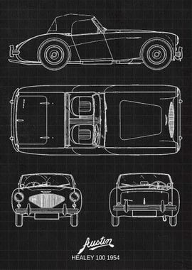 Austin Healey 100 1954