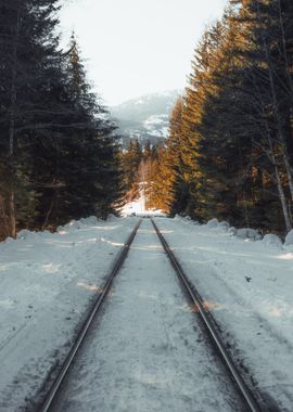 railroad sky leaves