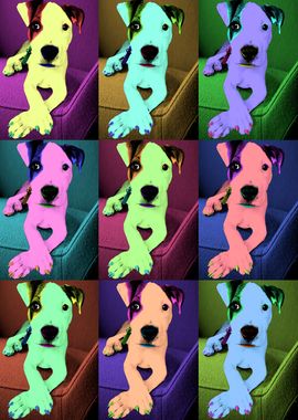 Pop Art Pup