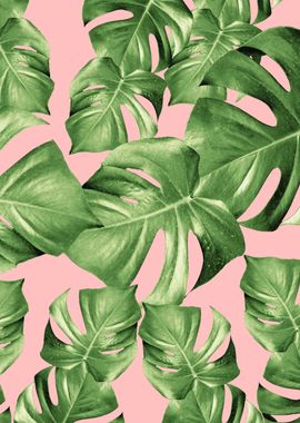 Monstera Leaves Blush 1