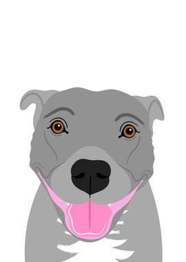 Staffy Dog Portrait