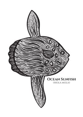 Ocean Sunfish or Mola name' Poster, picture, metal print, paint by Suzie of  Earth