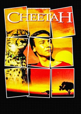 Cheetah