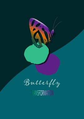 Butterfly Transformation