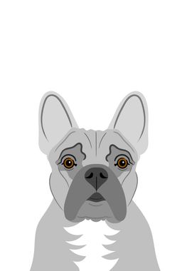 French Bulldog portrait