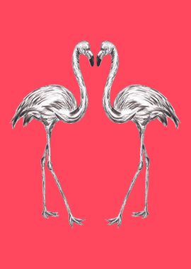 Pair of Flamingos 