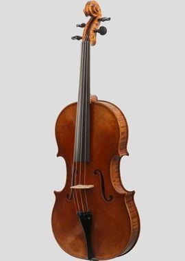 The Viola