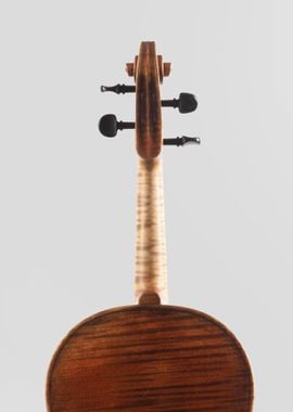 The Viola