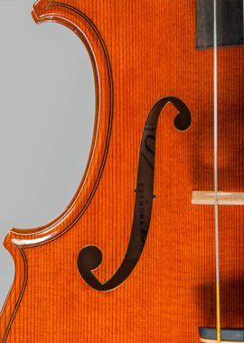 Contemporary Violin