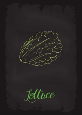 Lettuce Vegetable