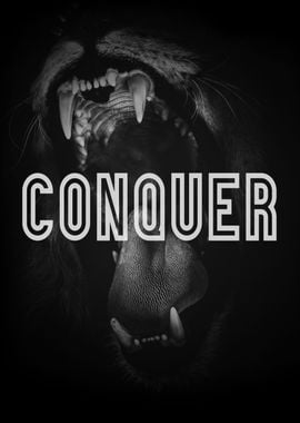 Conquer