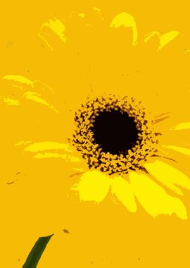 abstract sun flowers