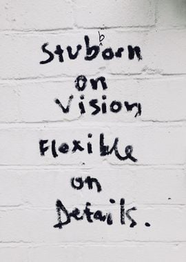 stubarn on vision