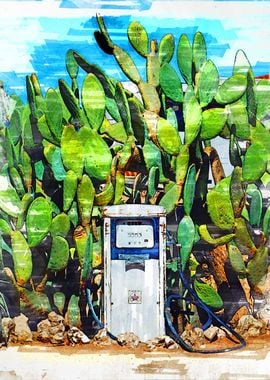 Petrol Pump Cactus Field