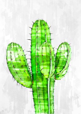 Big Cactus Plant Minimal