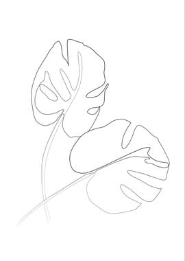 monstera leaf one line art