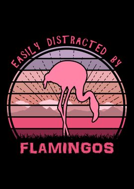 Distracted By Flamingos