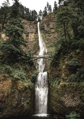 Waterfall Bridge Nature